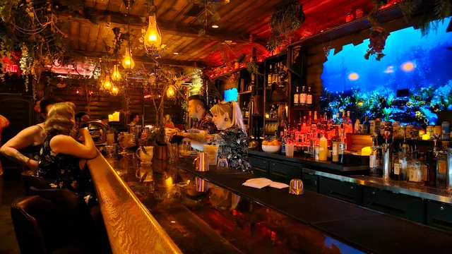 Stray Pirate - Tropical Cocktails & Effects