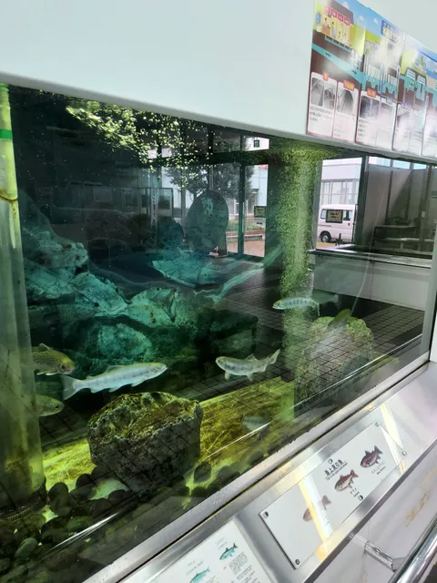 photo-1
