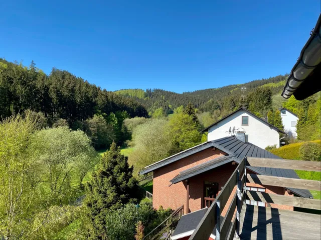 Ferienwohnungen Willingen Wald