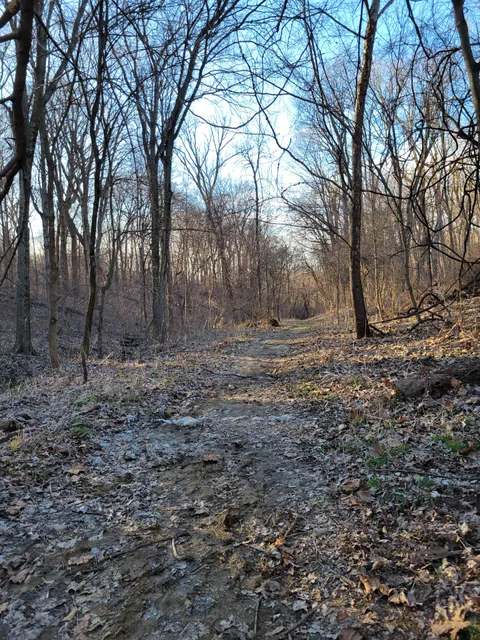 Bohm Woods Nature Preserve