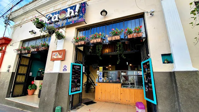Caoh! Heladería y Wafflería Boutique