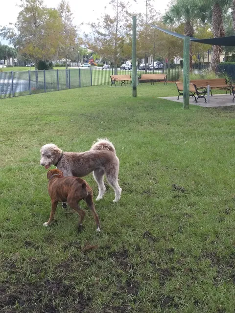 Tradition Dog Park (private)