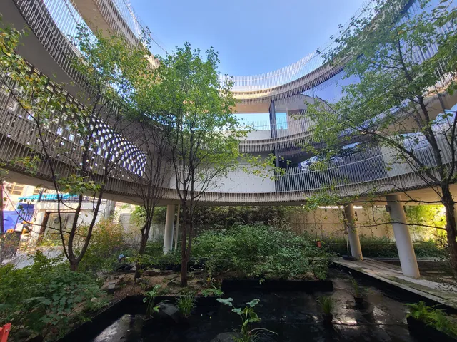 Ground Seesaw Seochon