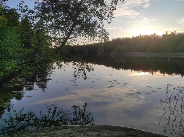 Långsjöns motionsspår