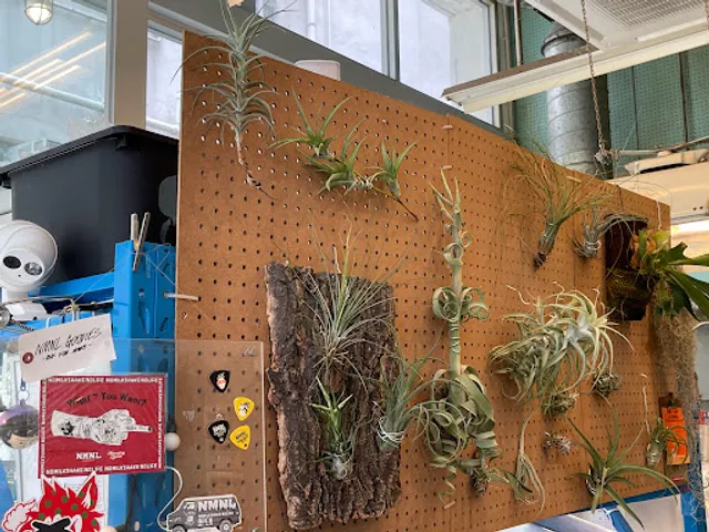 Sir Berwick by No Milkshake No Life