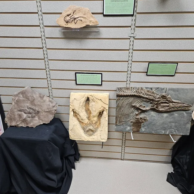 Southern Arizona Museum of Science and Technology