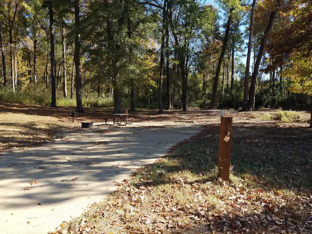 Beard's Bluff Park / Use Area