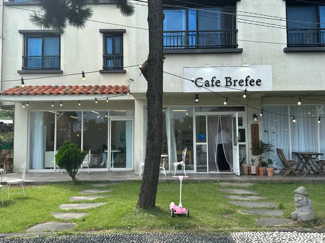 cafe brefee 카페 브리피