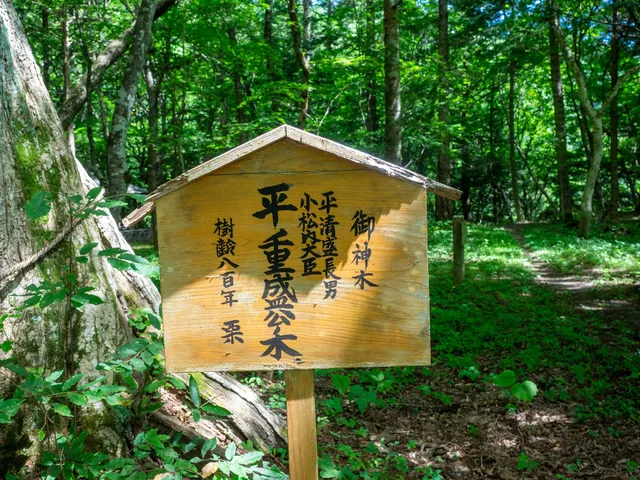 Kuriyama Forest Park