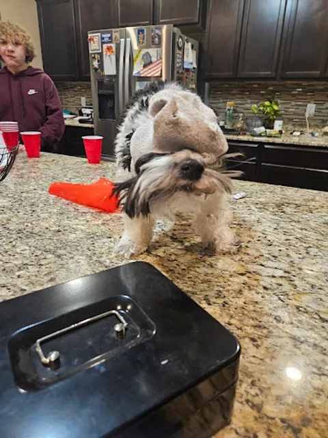 Mickey's Dairy Twist