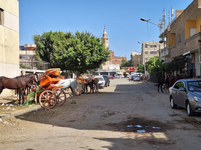 Sphinx and pyramids Inn