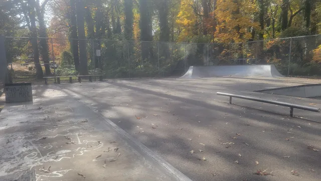 Truxtun Park Skate Park