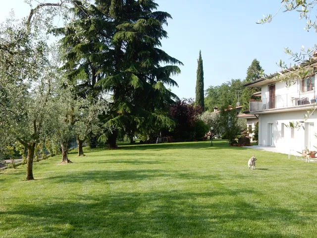 Bed & Breakfast ControVento