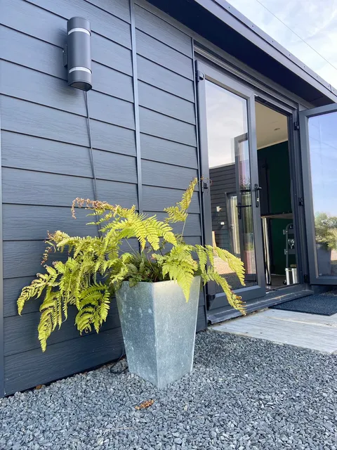 Buzzard Holt Hosting