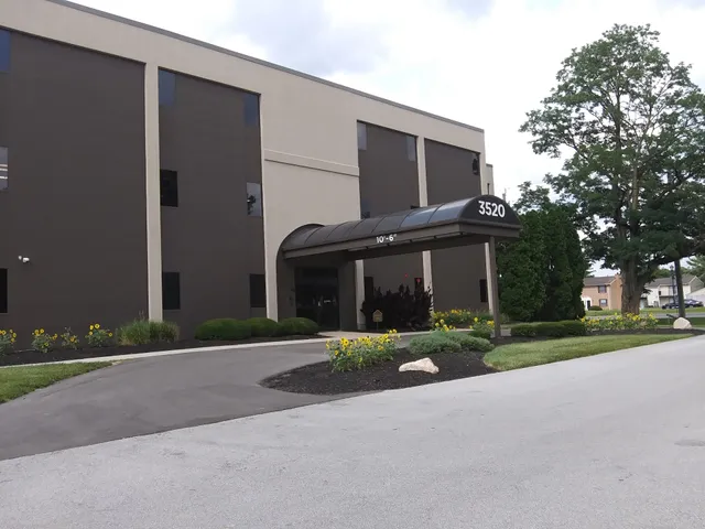 Ms B's Sweet Supplies