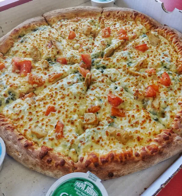 Papa Johns Pizza