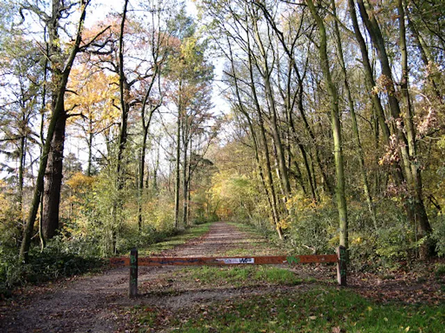 Bois de Clamart