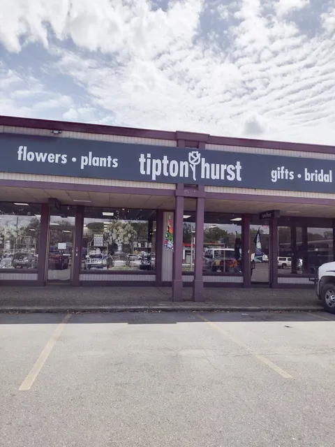 Tipton & Hurst Shepherd