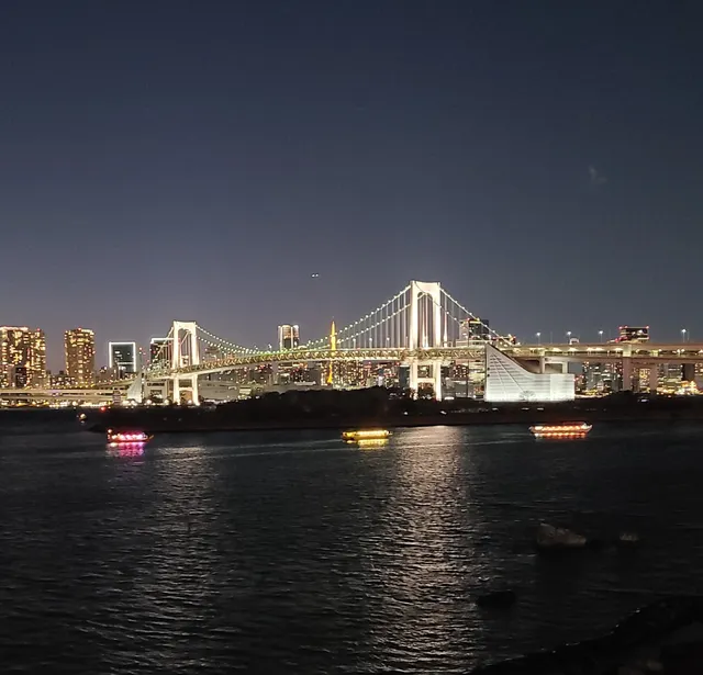 お台場イルミネーション“YAKEI”