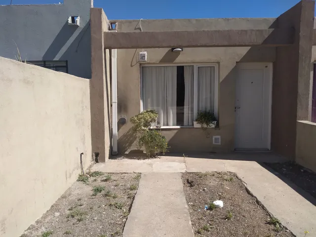 Los palos (Playa Unión)