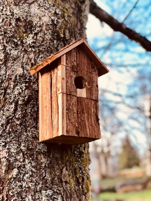 Ferienhaus Alte Wildmeisterei