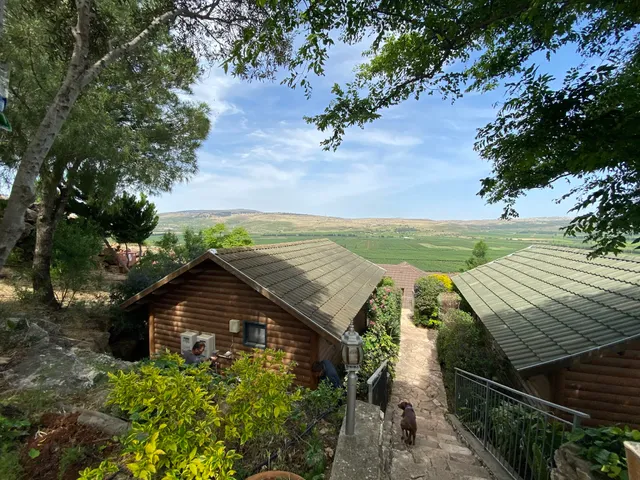 Spring in the vineyard