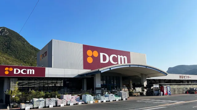 DCM Daiki Shodoshima