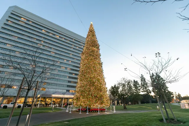 Los Angeles Event Photos