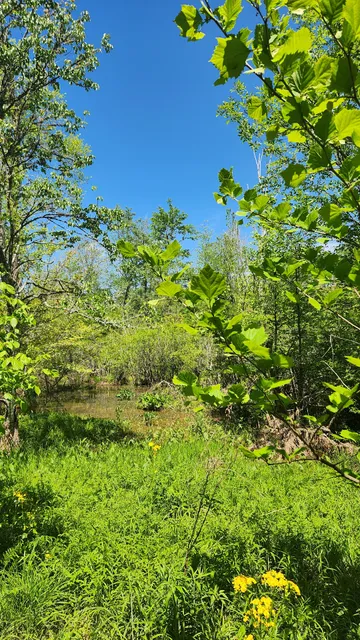 Big Creek Greenway Access at Fowler Park