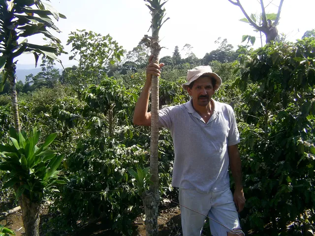 Cafetalera Herbazú S.A.