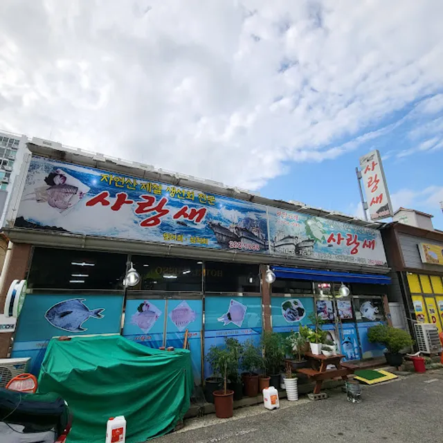 사랑새선어횟집