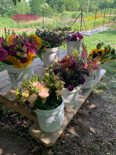 Fields Market Garden