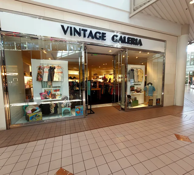Vintage Galeria