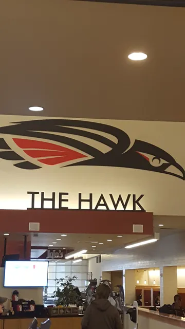 The Hawk