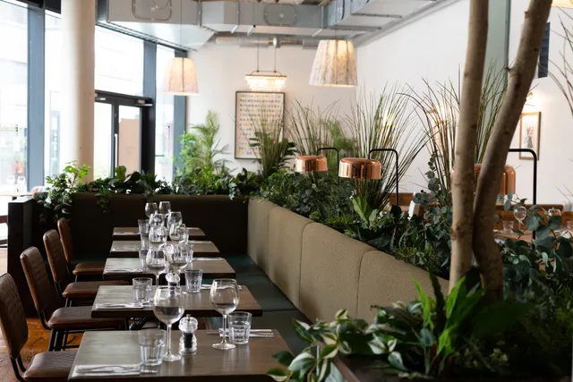 Bobo Social - Ealing Broadway