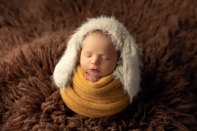 Diana Miller Photograpy LLC