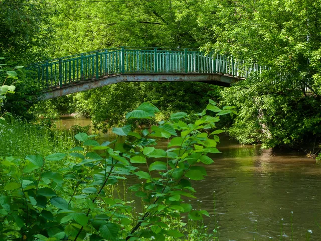 Bogorodskoye District