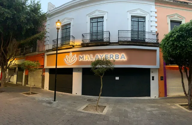 Cuidado con el Perro Damas & Kidz