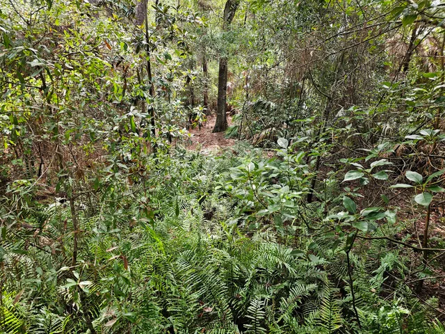 St. Petersburg College (SPC) - Seminole Campus