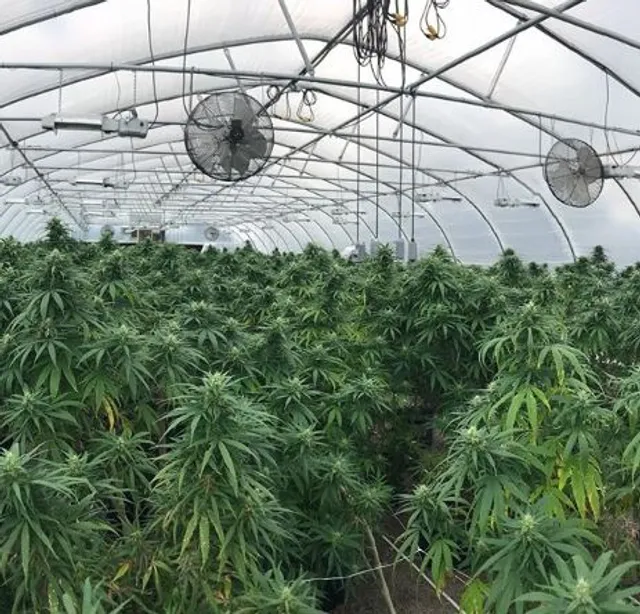 Carolina Fresh Farms