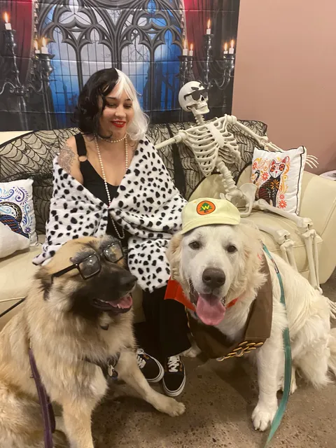 Wag Hotels - San Diego