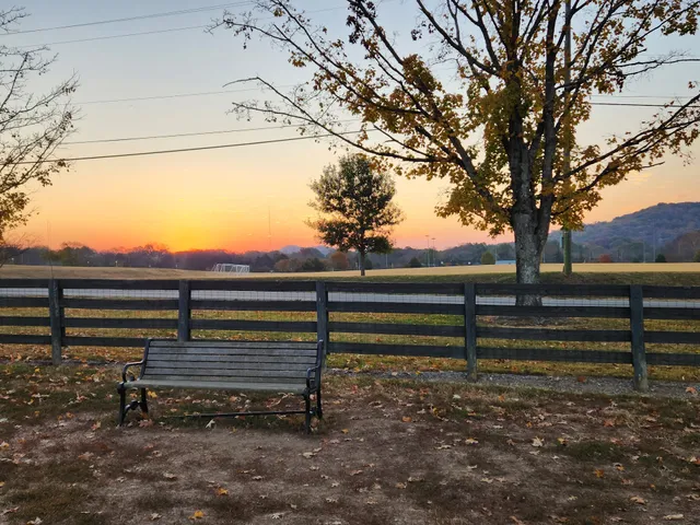 Edwin Warner Dog Park