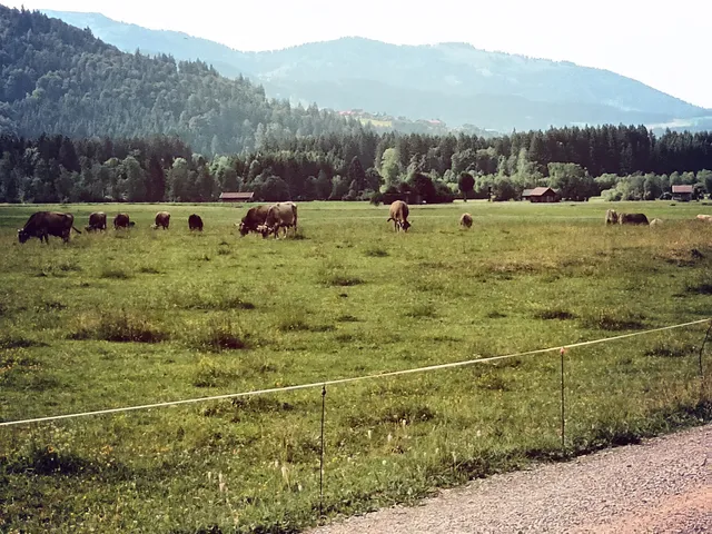 Ferienwohnungen Oberstdorf Melanie Bolay