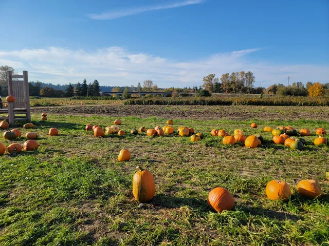 Schilter Family Farm