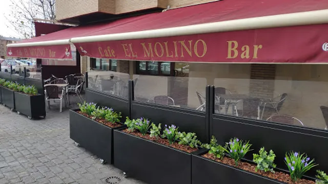 Bar El Molino