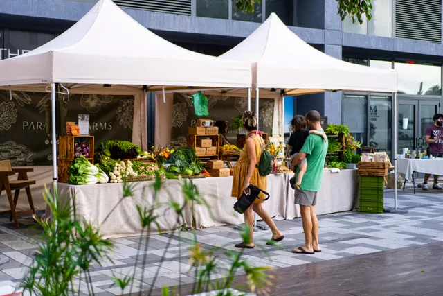 Flow Miami Night Market