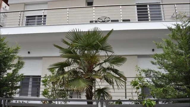 Davidana Deluxe Apartments