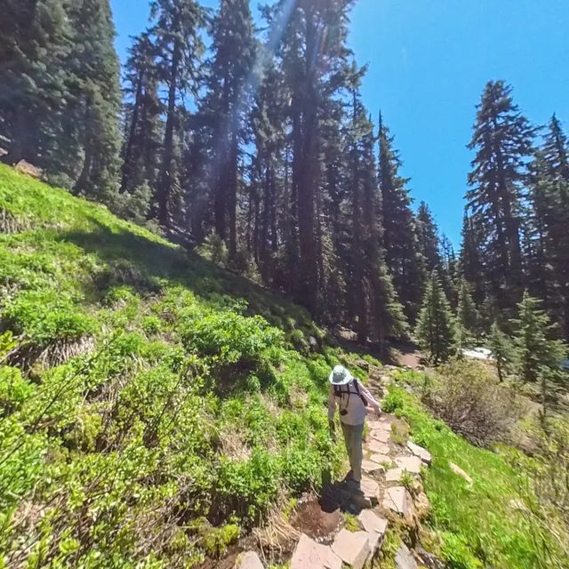 Castle Crest Wildflower Trail