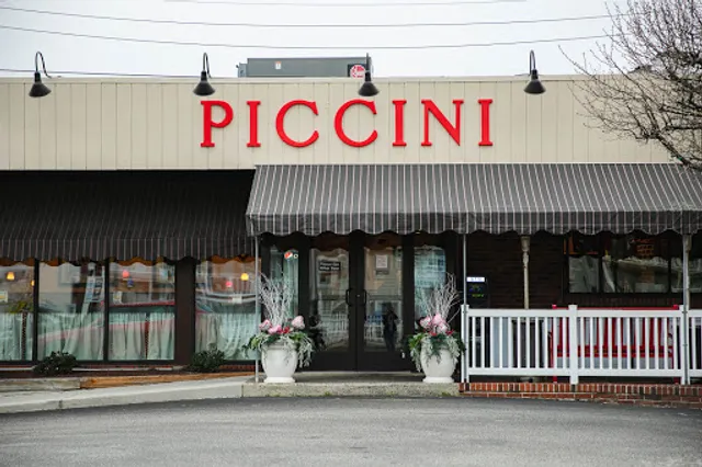 Piccini Wood Fired Brick Oven Pizza