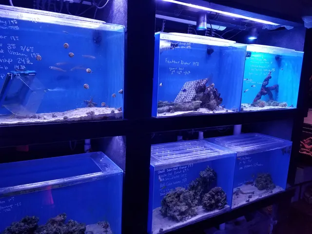 Ultimate Aquarium Inc
